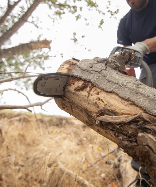 A closeup of a lumberjack with a chainsaw in a forest
