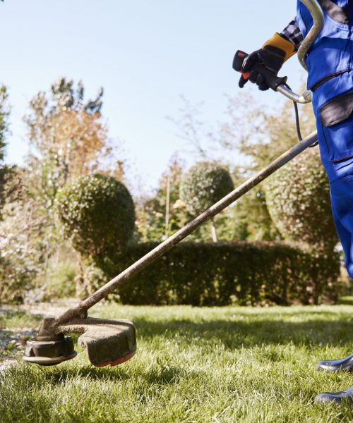 Gardener with weedwacker cutting the grass in the garden