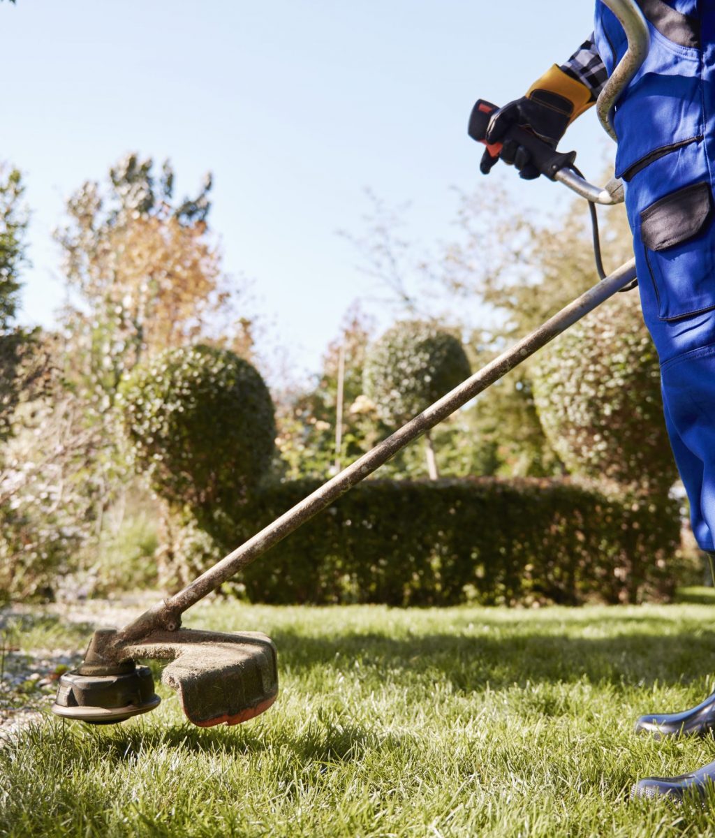 Gardener with weedwacker cutting the grass in the garden